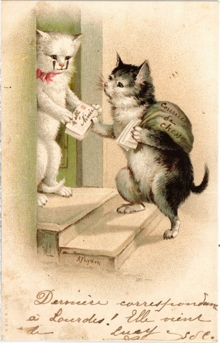 Katzen postbote katze - pc,